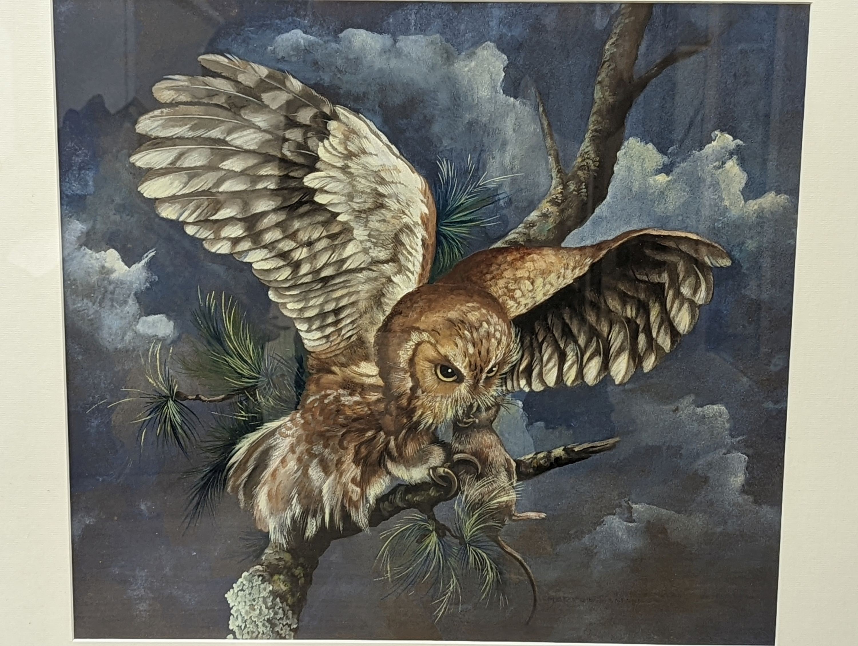 Marjorie Aman ?, gouache and watercolour, owl bearing prey, late 20th century, 43.5 x 49cm